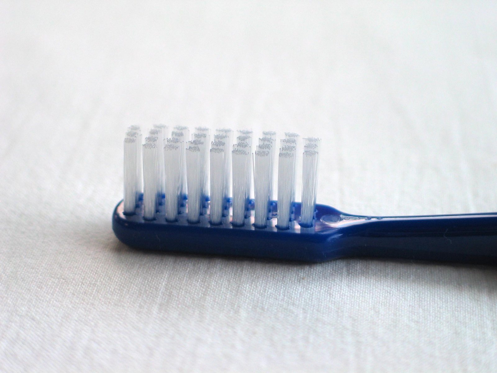 Close-up of toothbrush bristles, illustrating the mechanical side of oral hygiene that shapes the biofilm on your teeth
